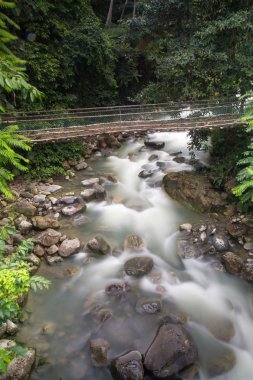 Poring kaplıca, Sabah, Borneo Malezya