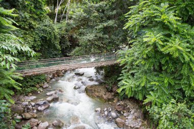 Poring kaplıca, Sabah, Borneo Malezya