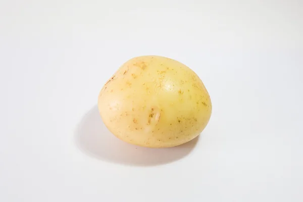 One Potato — Stock Photo, Image