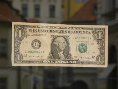 Bir Amerikan Doları 'na