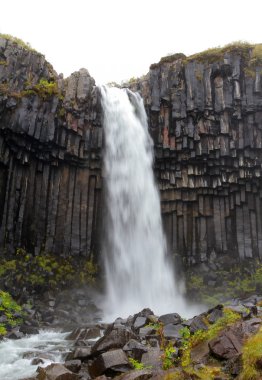 Svartifoss şelale İzlanda