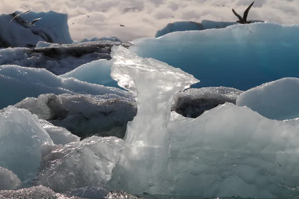 Iceberg na ilha da lagoa joekulsarlon — Fotografia de Stock
