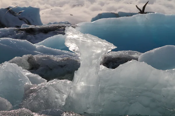 Joekulsarlon lagoon ıslandı buzdağı — Stok fotoğraf