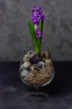 Bir vazoda bıldırcın yumurtalı paskalya kompozisyonu.