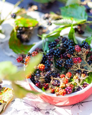 Yapraklı bir fincanda yabani orman meyveleri