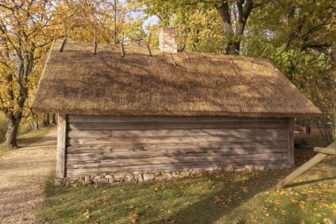 Yolun kenarında sazdan çatılı eski bir ahşap ev Sonbahar renklerinde büyük ağaçların altında