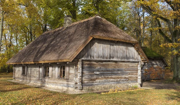 Old wooden log house with a thatched roof in the forest. The season is autumn