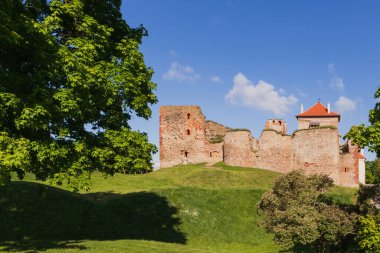 Ağaçların arasında eski bir ortaçağ şatosunun görüntüsü.