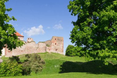Yazın güzel bir ortaçağ kalesi. Mavi gökyüzü, yeşil çimen.
