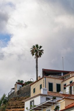 Dik bir tepede birbiri ardına inşa edilmiş evleri görmek. Evlerin arkasında, tepenin üstünde bir palmiye ağacı yetişiyor..
