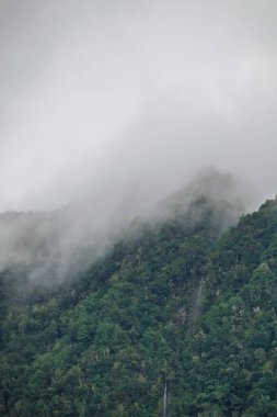 Sis altındaki uçurumlar. Üzerlerinden şelaleler düşen yeşil uçurumlar, sisin içinde gizlenmiş kayalıklar..