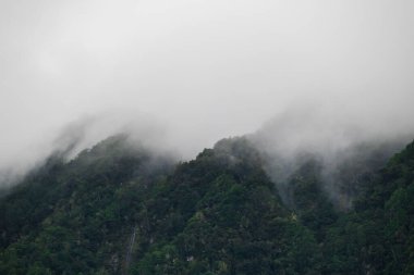 Bulutlardaki dağlar. Yeşil dağ tepeleri bulutlara giriyor. Puslu yeşil dağlar ormanla kaplı, alçak bulutlar yamaçlarda sürükleniyor.