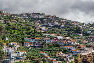 Büyük yeşil bir tepenin yamacında evler inşa edilen köy manzarası. Etrafı yemyeşil ve dağınık evlerle çevrili renkli teraslı yamaçlı bir köy..