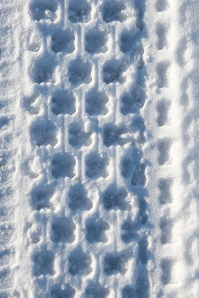 Traces Pneu Quadruple Sur Neige — Photo