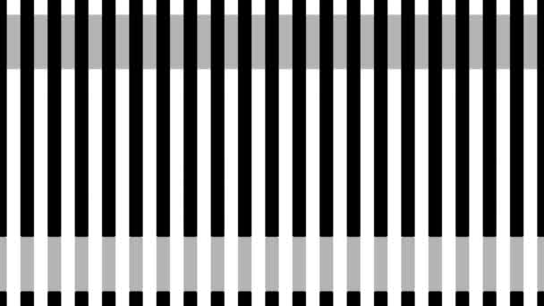 Linjer i quasi olika färger — Stockvideo