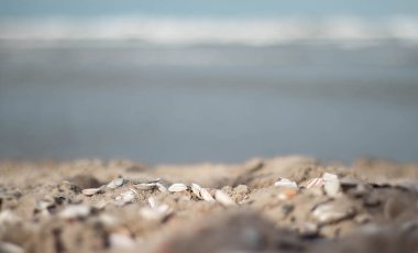 Hollanda kıyıları bulutlu ama aydınlık bir günde (Kijkduin, Lahey, Hollanda)