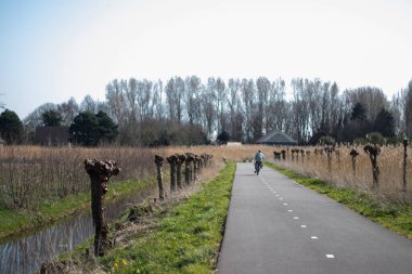 Hollanda 'da bir çayır (Zuid-Holland, Hollanda) bisiklet yolu (fietspad))