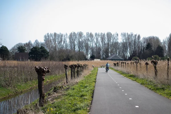 Kerékpárút Fietspad Egy Holland Réten Zuid Holland Hollandia — Stock Fotó