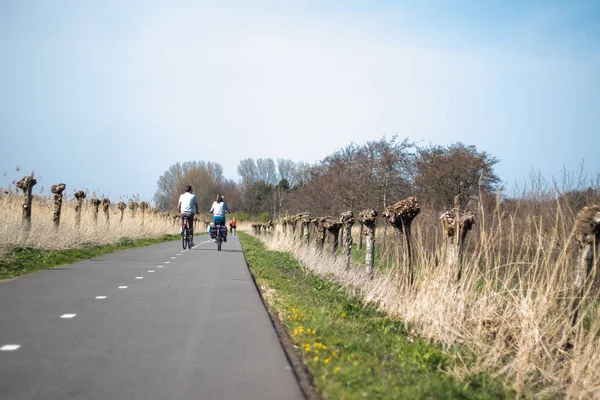 Hollanda 'da bir çayır (Zuid-Holland, Hollanda) bisiklet yolu (fietspad))