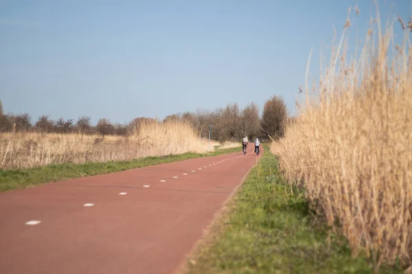 Kerékpárút Fietspad Egy Holland Réten Zuid Holland Hollandia — Stock Fotó