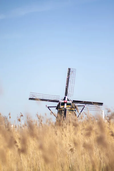 Tradycyjny Holenderski Wiatrak Niderlandach Schaapweimolen Rijswijk — Zdjęcie stockowe