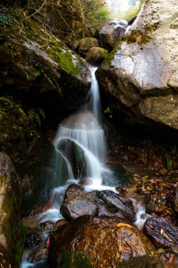 Munsiyari 'de güzel bir şelale, Uttarakhand 