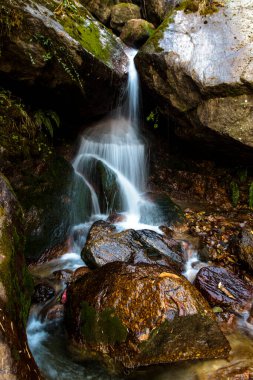 Munsiyari 'de güzel bir şelale, Uttarakhand 