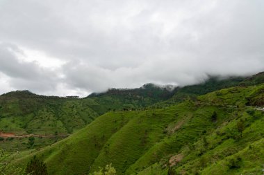 Hindistan 'da şelale kuşları 