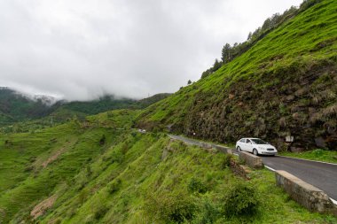 Hindistan 'da şelale kuşları 