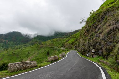 Hindistan 'da şelale kuşları 