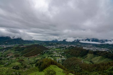 Hindistan 'da şelale kuşları 