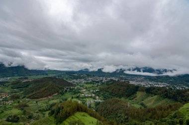 Hindistan 'da şelale kuşları 