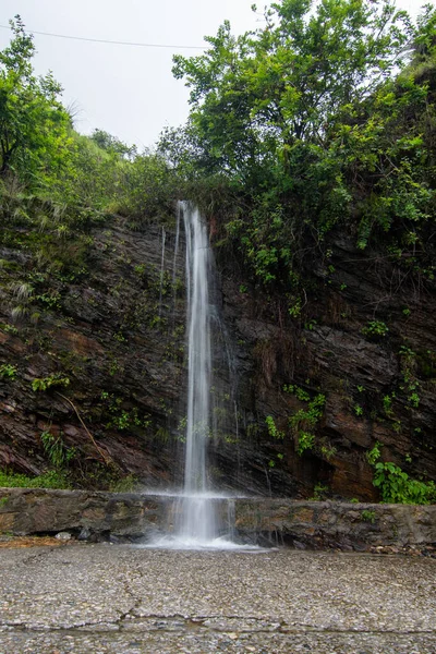 Cascade Oiseaux Nature Inde Photo De Stock