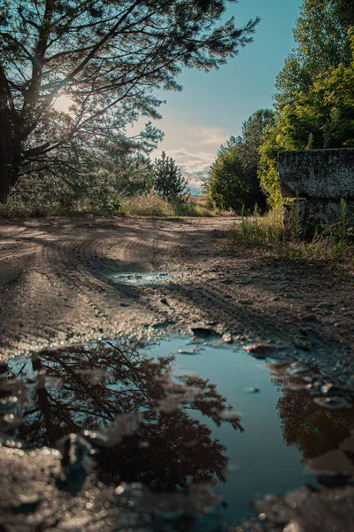 Večerní Slunce Trávníku — Stock fotografie