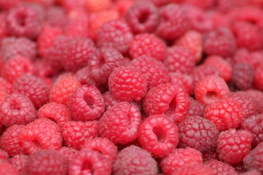 bir sürü olgun ahududu meyve arka plan