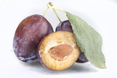 yaprakları ile bir buçuk Erik