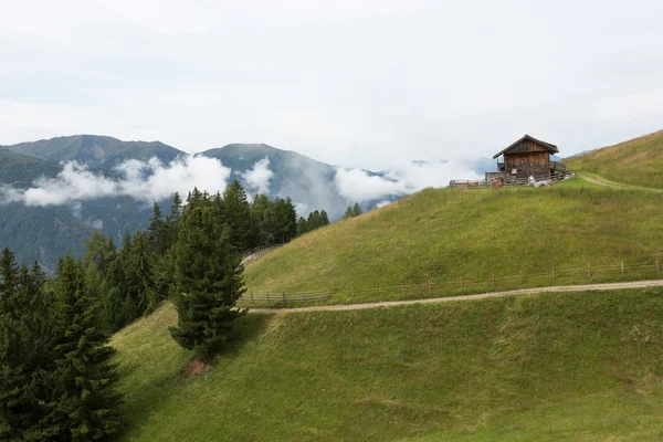 Paisaje alpino, Alm y prados (Luson ) — Foto de Stock