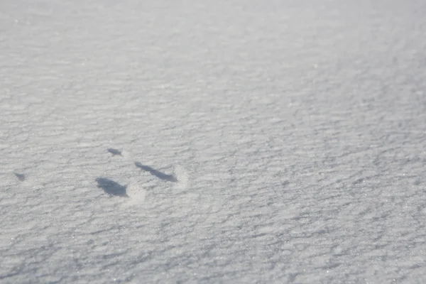 Dibujos de nieve — Foto de Stock