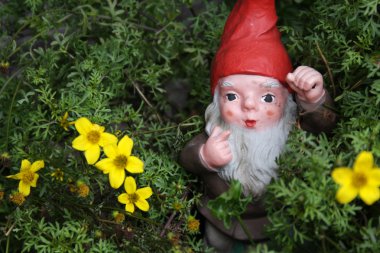 GNOME çayırda