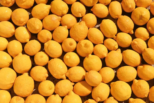 Renkli limonlar limonata, limonata, sarı narenciye, C vitamini.