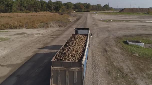 De beweging van een vrachtwagen met een aanhanger gevuld met suikerbieten. — Stockvideo