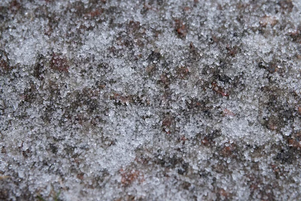 冬天的雨变成了冰. — 图库照片