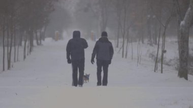 Kendi evcil köpekleri olan adamlar kış parkında yürürler..