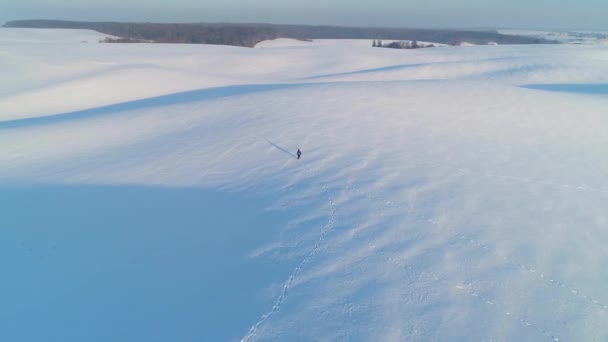 Vlucht over een man lopend op een besneeuwd veld bedekt met sporen van wilde dieren. — Stockvideo