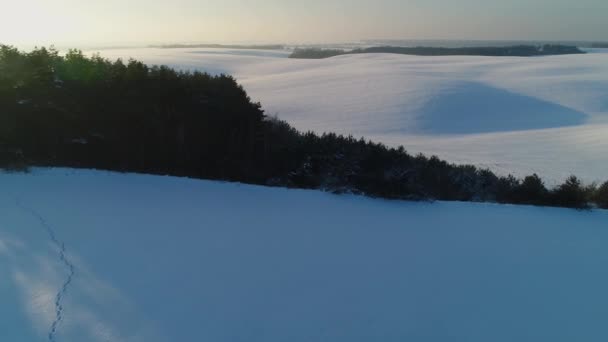 Le impronte umane si intersecano con quelle degli sci nei campi innevati. — Video Stock