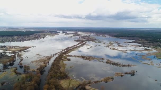 강에는 봄 홍수가 있습니다. 우크라이나, 볼린에서 목초지 가 침수되다. — 비디오