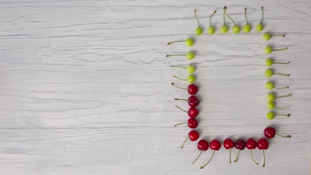 Cherries turn from green to ripe red. A rectangle of berries — Video Stock