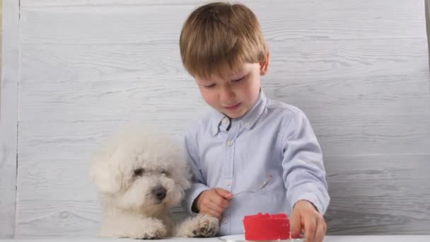 Anak laki-laki kecil menyerahkan kue kepada anjing dan ia mulai memakannya. — Stok Video