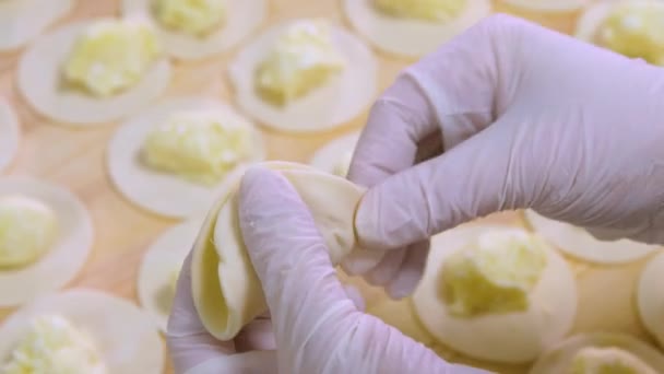 Albóndigas hechas a mano rellenas de patatas y requesón. — Vídeos de Stock
