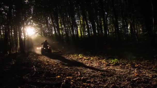 Dos pilotos de ATV cabalgan rápido en un sendero forestal. — Vídeo de stock